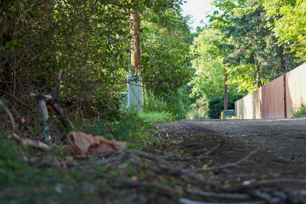 dead end road 2 Print