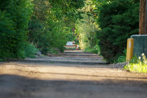 dead end road 4 Print