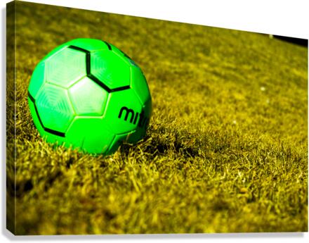 green ball Canvas Print