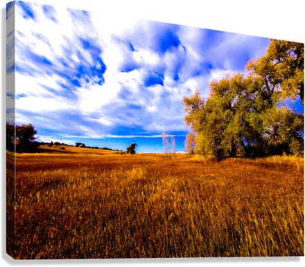 untitled Canvas Print