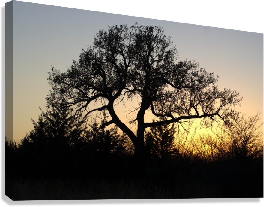 Sundown Canvas Print