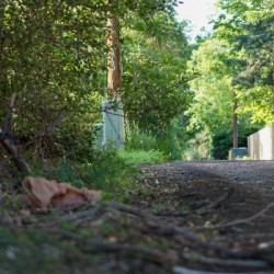 dead end road 2