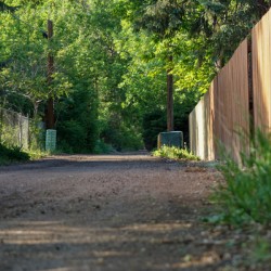 dead end road 1