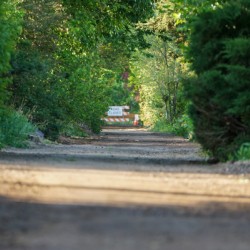 dead end road 4