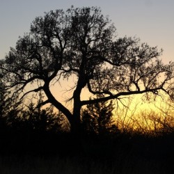 Sundown
