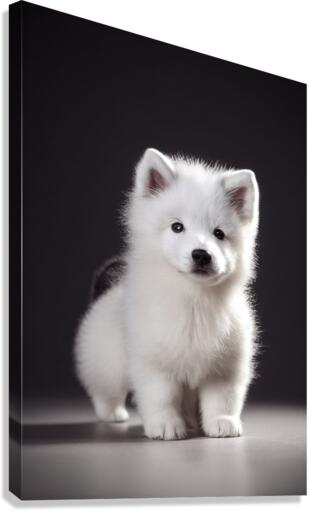 Tiny cute adorable Samoyed puppy by Avelino Calvar Martinez Wall Art