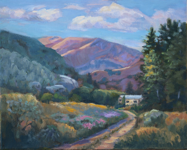 Place with a View by Jan Oxendale