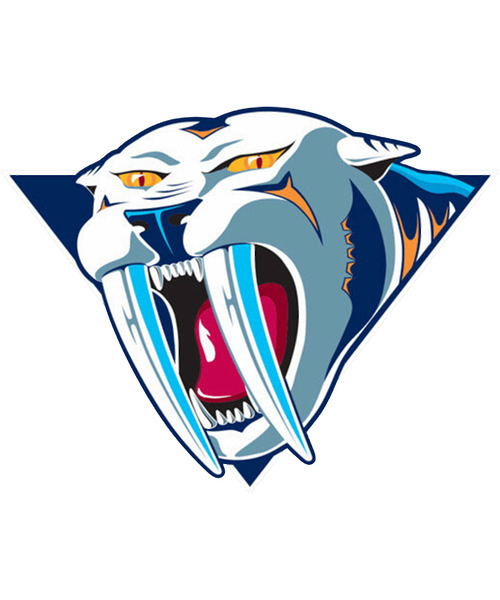 Nashville Predators 9 by DonaldJHoward