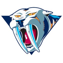 Nashville Predators 9