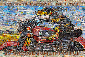 HARLEY DAVIDSON. RIDING DOG