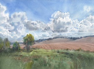 Cloudy landscape in wildlife
