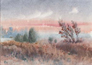 Foggy landscape
