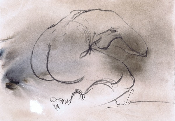 Nude woman art «Aphrodites Embrace» by Samira Yanushkova