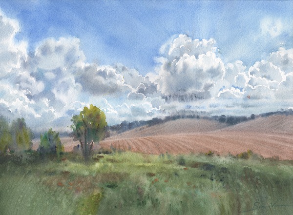 Cloudy landscape in wildlife by Samira Yanushkova