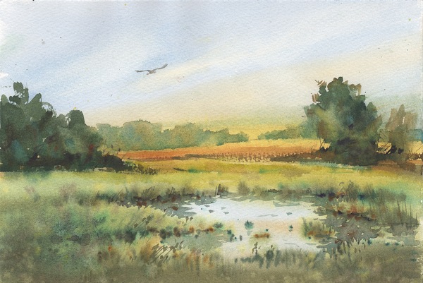 Landscape sunny morning by Samira Yanushkova
