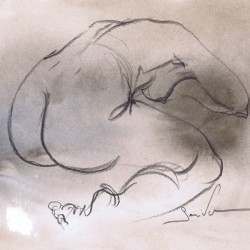 Nude woman art «Aphrodites Embrace»