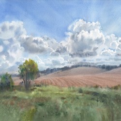Cloudy landscape in wildlife