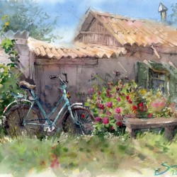 Bike near the fence in flowers in nature