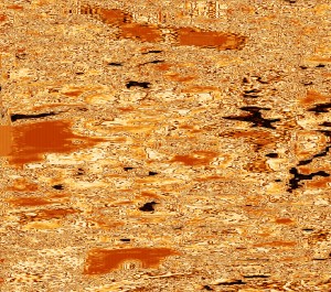 Puddles_In_Fall