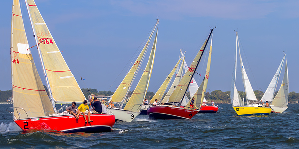 Starboard!  Comin Thru Print