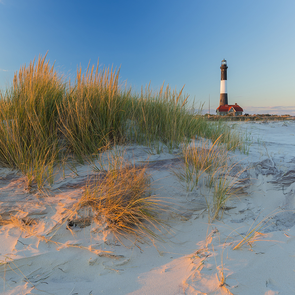 Golden Grass Blue Sky Print
