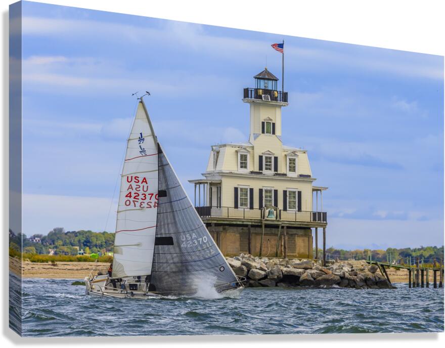 Passing Bug Light Canvas Print