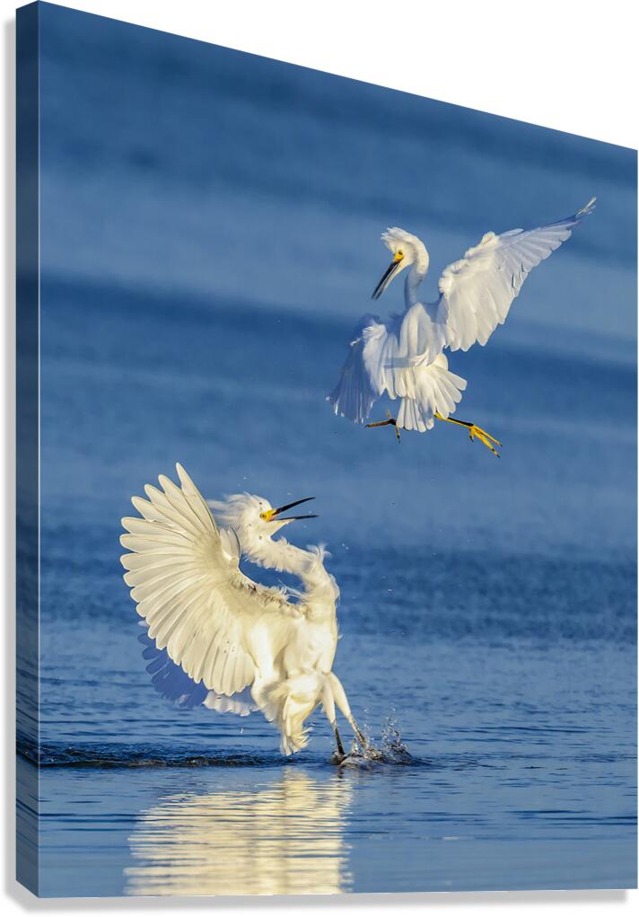Heee Yaaah!!! Canvas Print