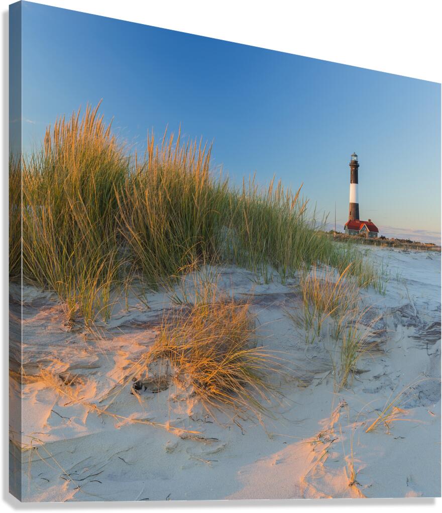 Golden Grass Blue Sky Canvas Print