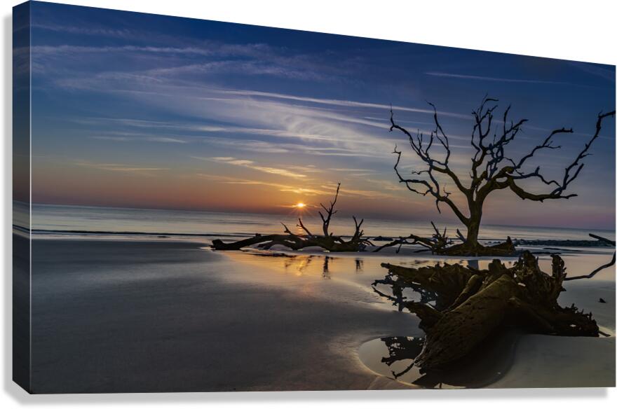 Tidepools & Trees Canvas Print