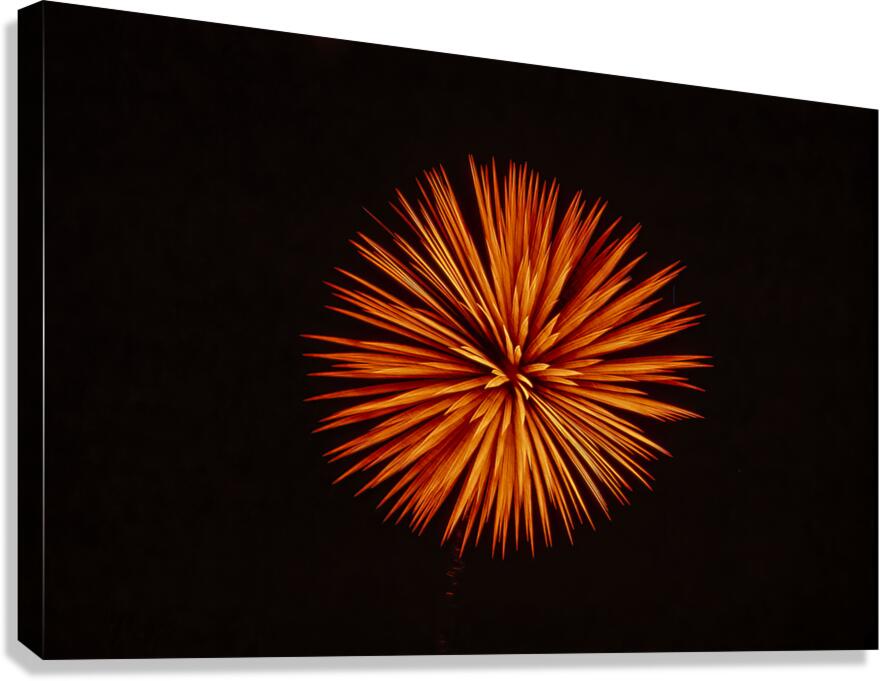 Starburst Canvas Print