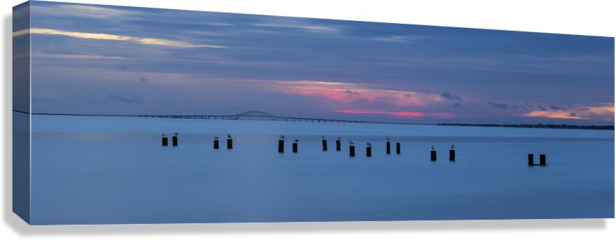 Settling In Canvas Print
