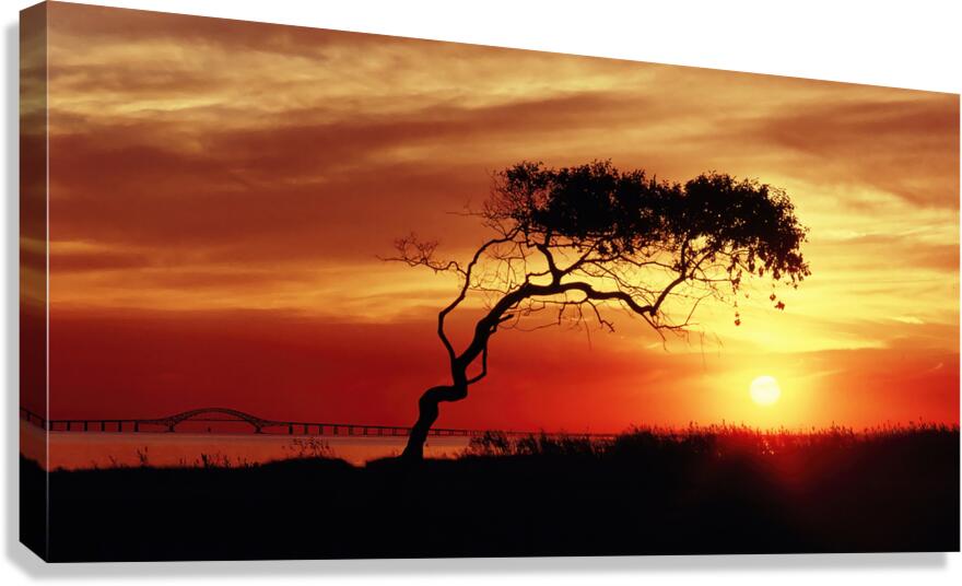 Heckscher Sunset Canvas Print
