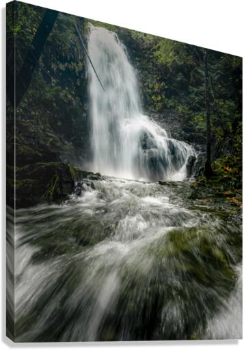 DSC02619 Edit Canvas Print