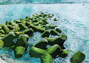 Wall Nature Decoration 7