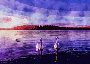 Nature Landscape 10