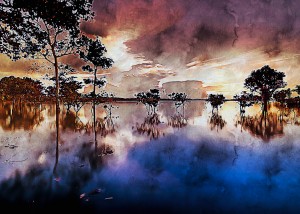 Nature Landscape 6