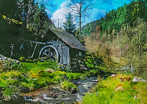 Nature illustration 8