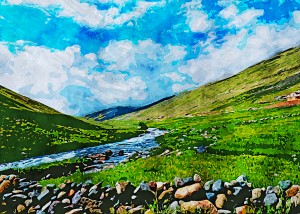 Nature illustration 6