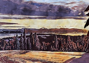 Nature illustration 2