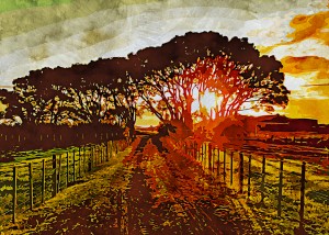 Nature Lover 5
