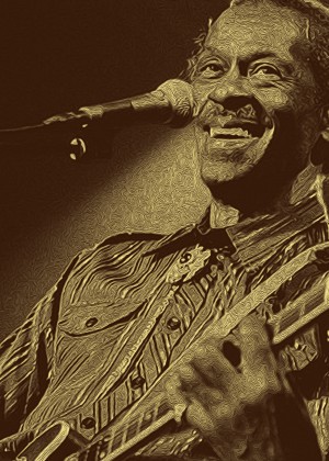 Chuck Berry Retro Vintage Poster  22