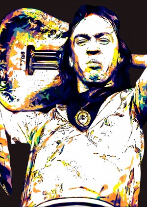 Stevie Ray Vaughan Pop Art 27