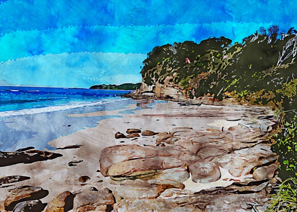 Nature Drawing 4 Print