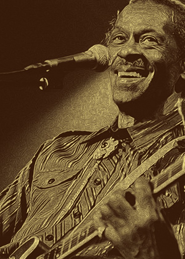Chuck Berry Retro Vintage Poster  22 by RANGGA OZI