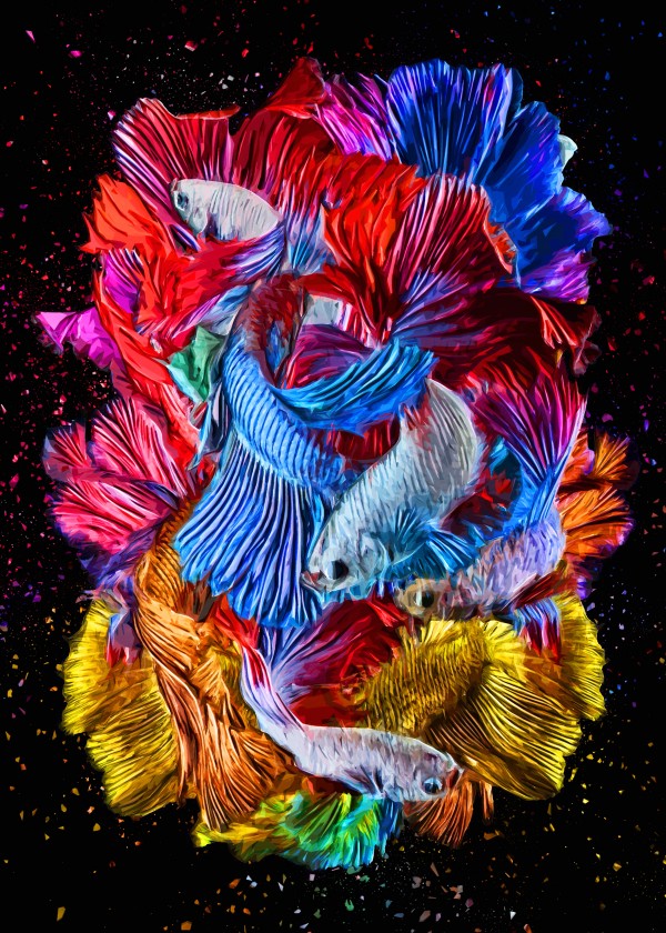 Betta Fish Lover 27 by RANGGA OZI
