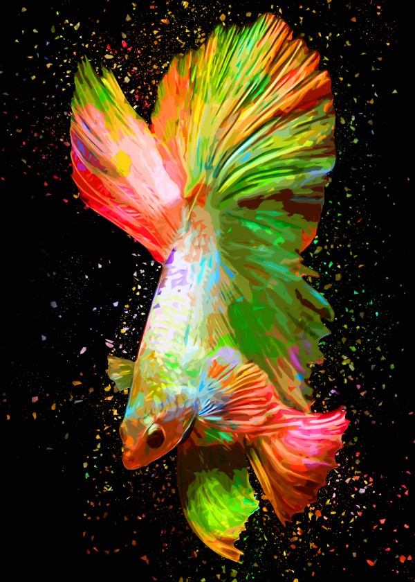 Betta Fish Lover 19 by RANGGA OZI