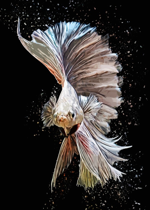 Betta Fish Lover 23 by RANGGA OZI