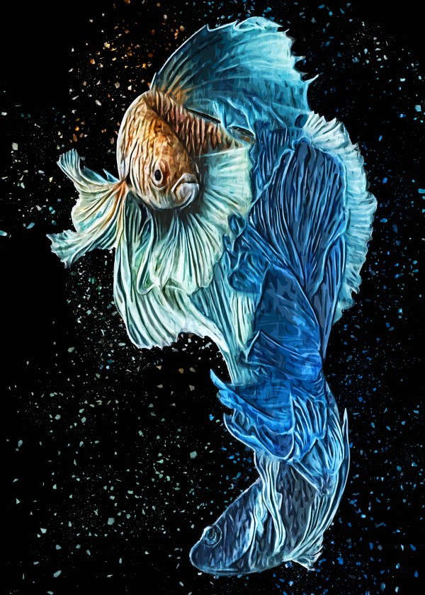 Betta Fish Lover 20 by RANGGA OZI