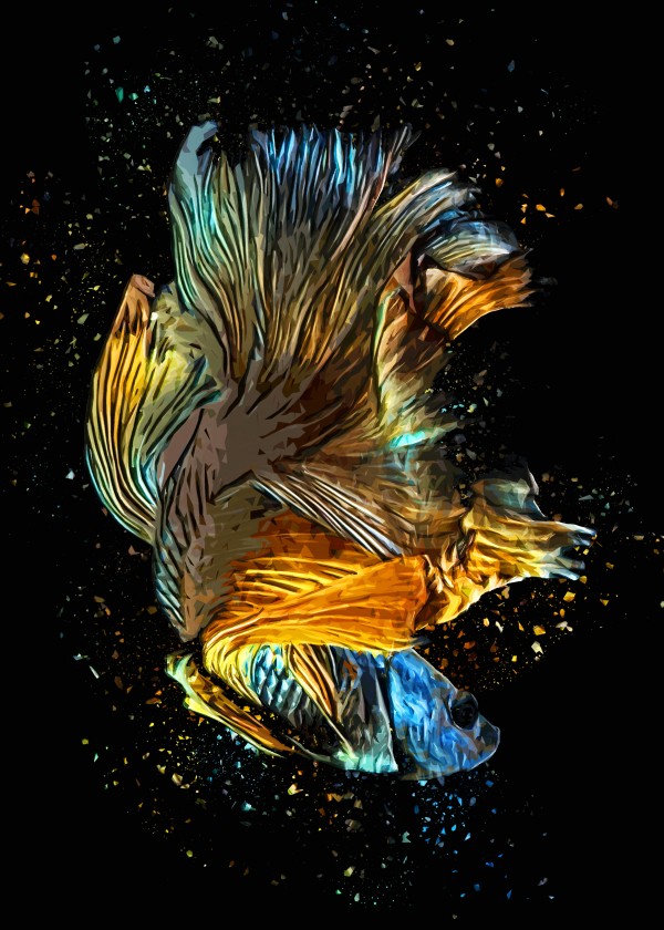 Betta Fish Lover 25 by RANGGA OZI