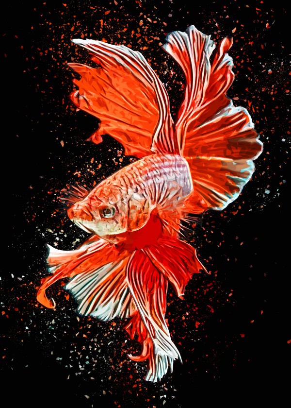 Betta Fish Lover 26 by RANGGA OZI